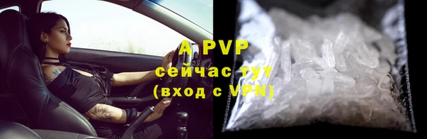 дживик Володарск